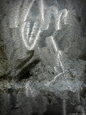 Abstract images
